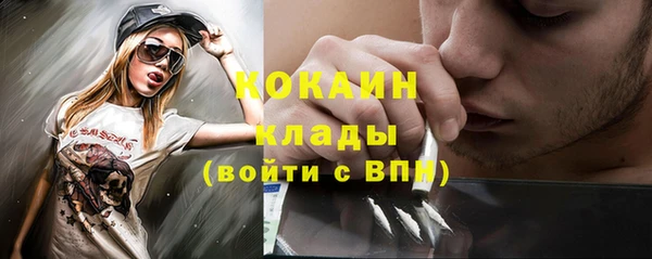 a pvp Ельня