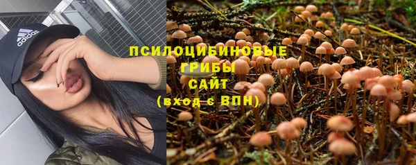 a pvp Ельня